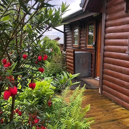 Fern Lodge. Drumcoura Resort, Διαμέρισμα *