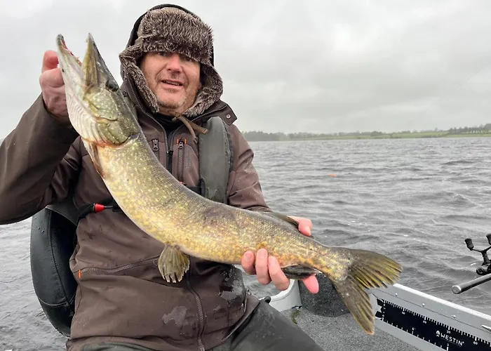 Fern Lodge. Drumcoura Resort, *